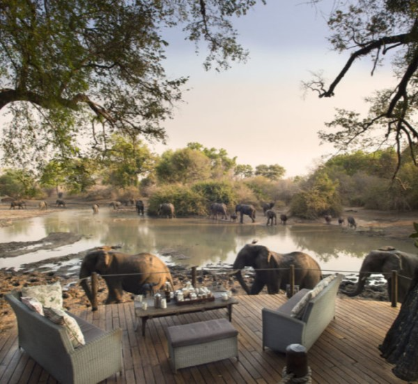 Chobe National Park Safari in Botswana with Elephant Herds and River Cruises