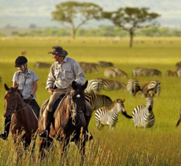 Serengeti National Park Safari in Tanzania with Great Migration and Big 5