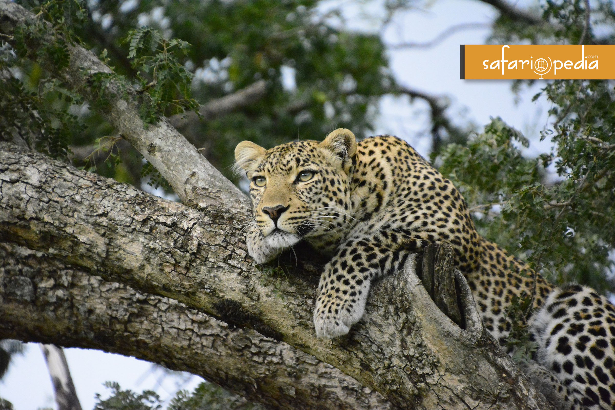 Best 10 places to visit in Kenya