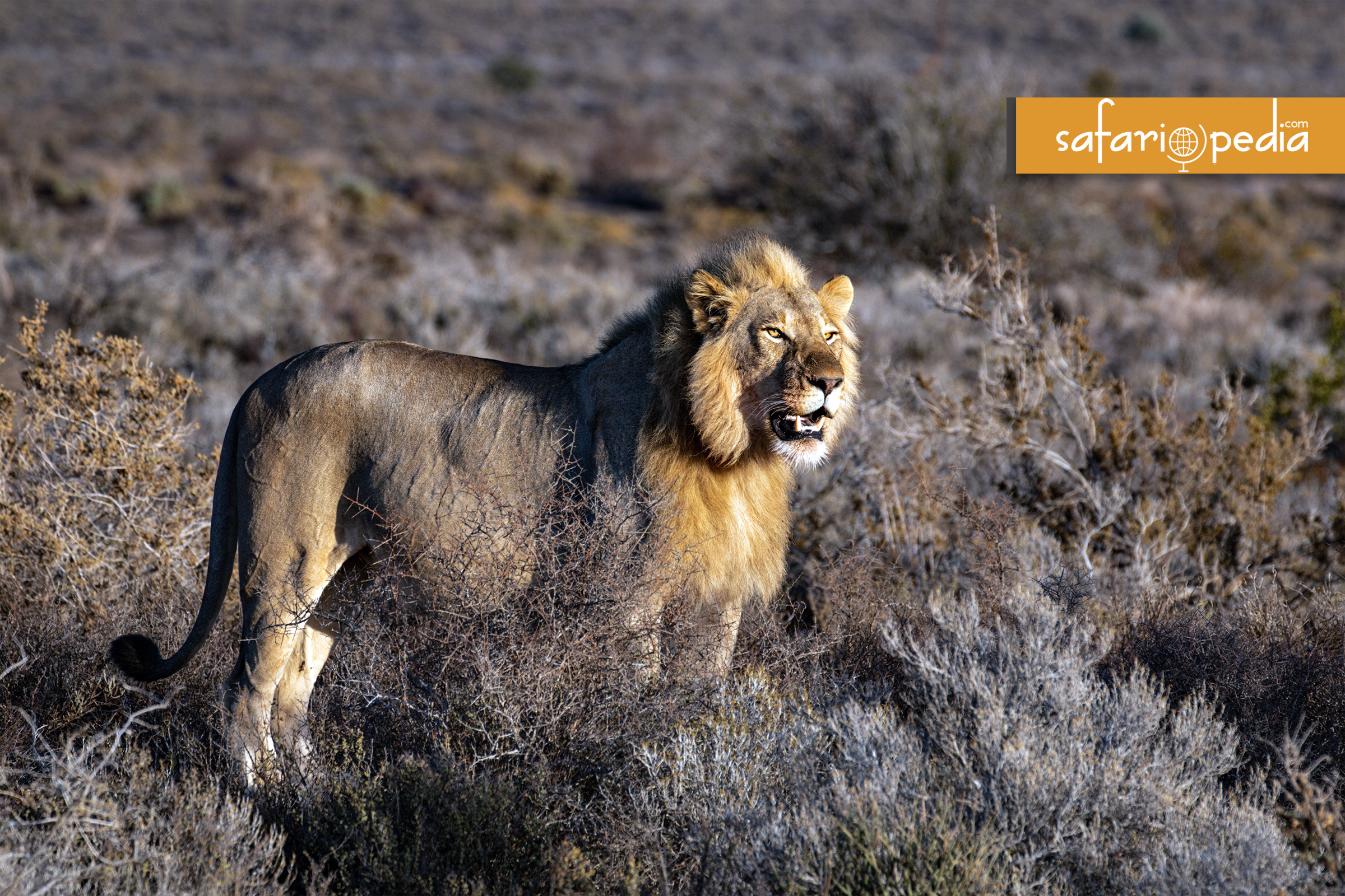 Best 10 places to visit in South Africa