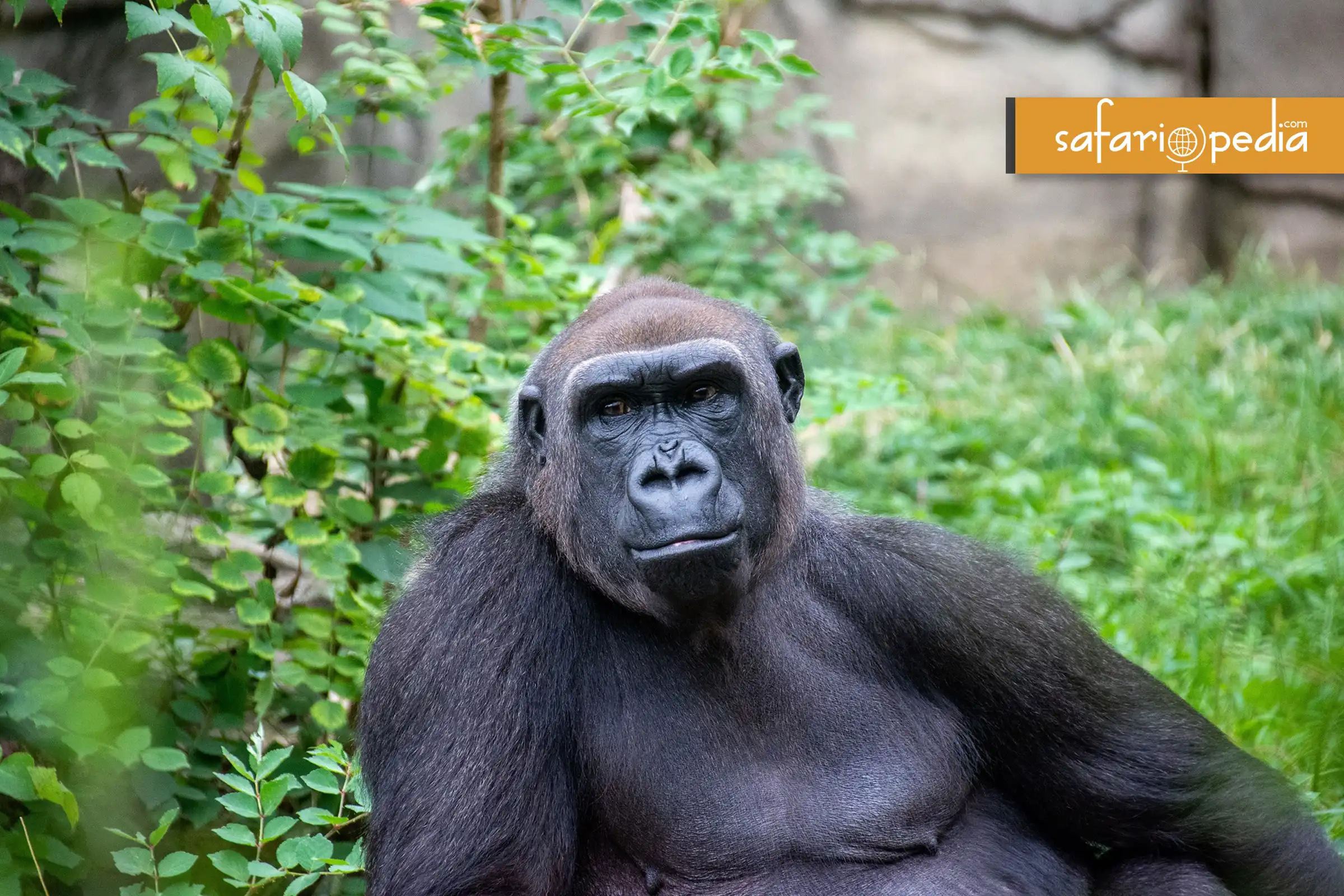 Best 10 places to visit in Uganda