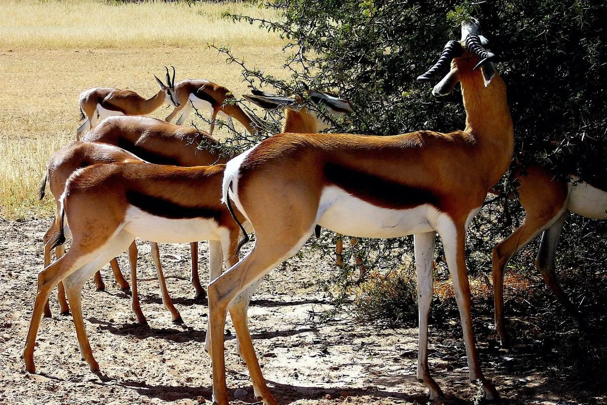 6-Day Central Exploration