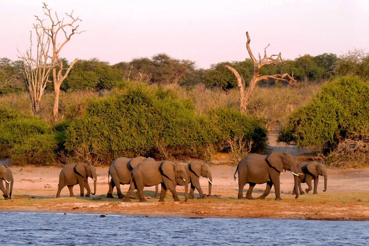 9 Nights/10 Days 3 Countries in One