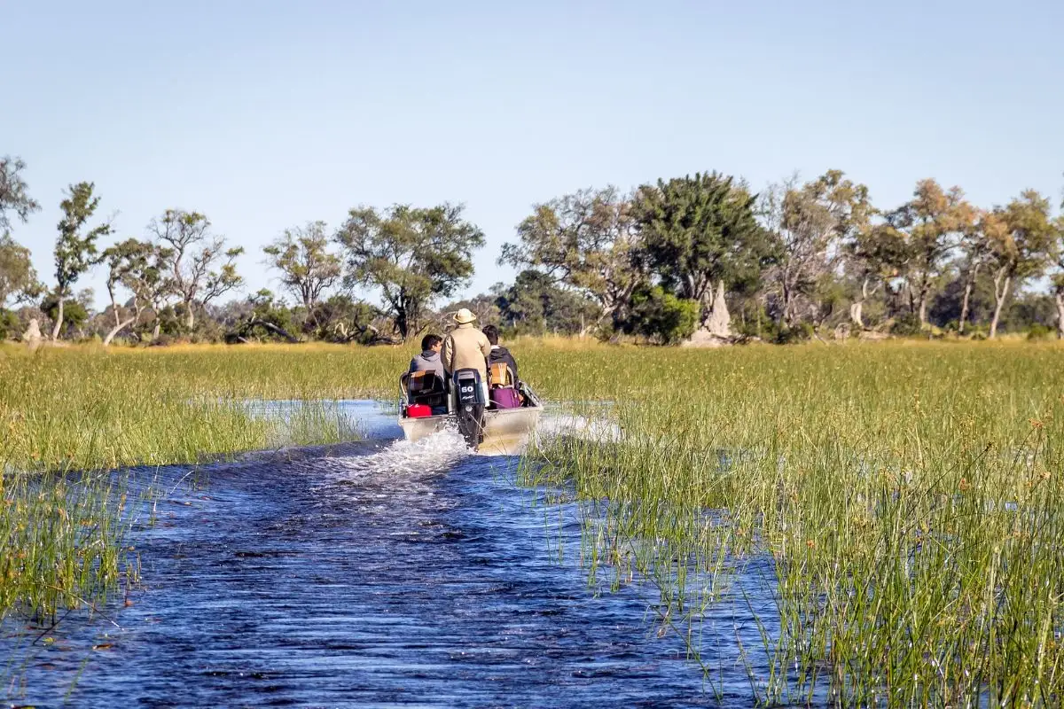 3 Days Okavango Delta Remote Chiefs Island Tour