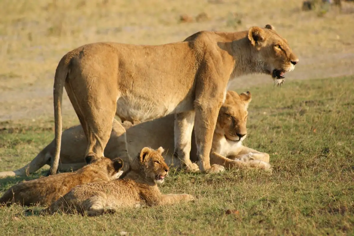 6-Day Your Unforgettable Tour