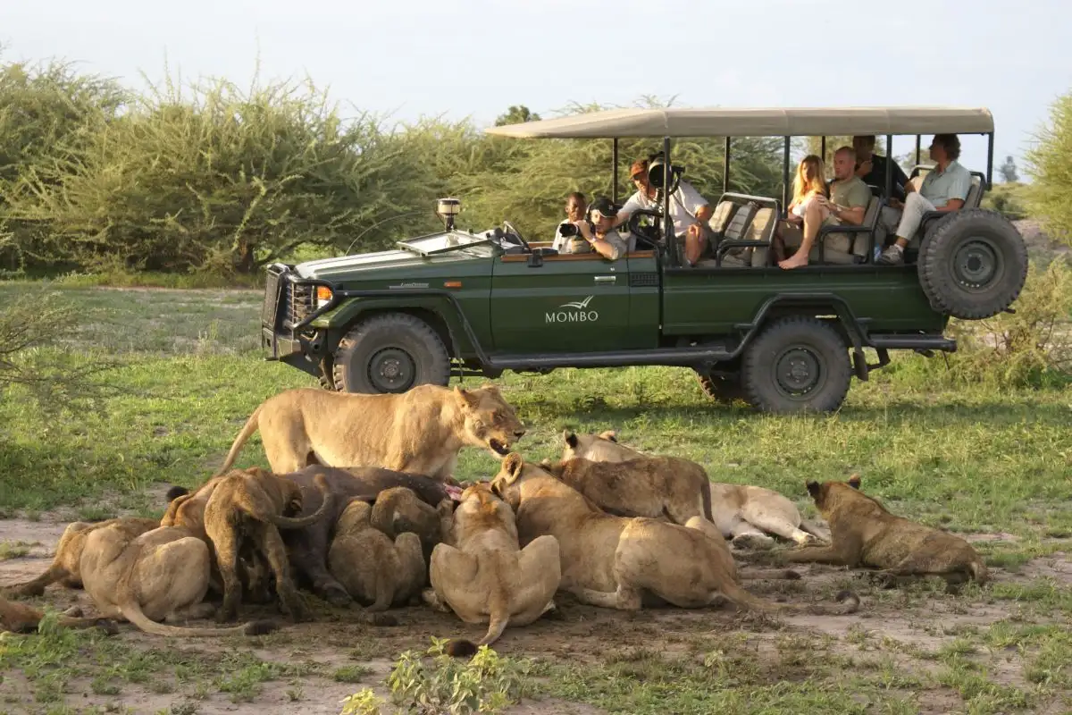 South Luangwa National park 