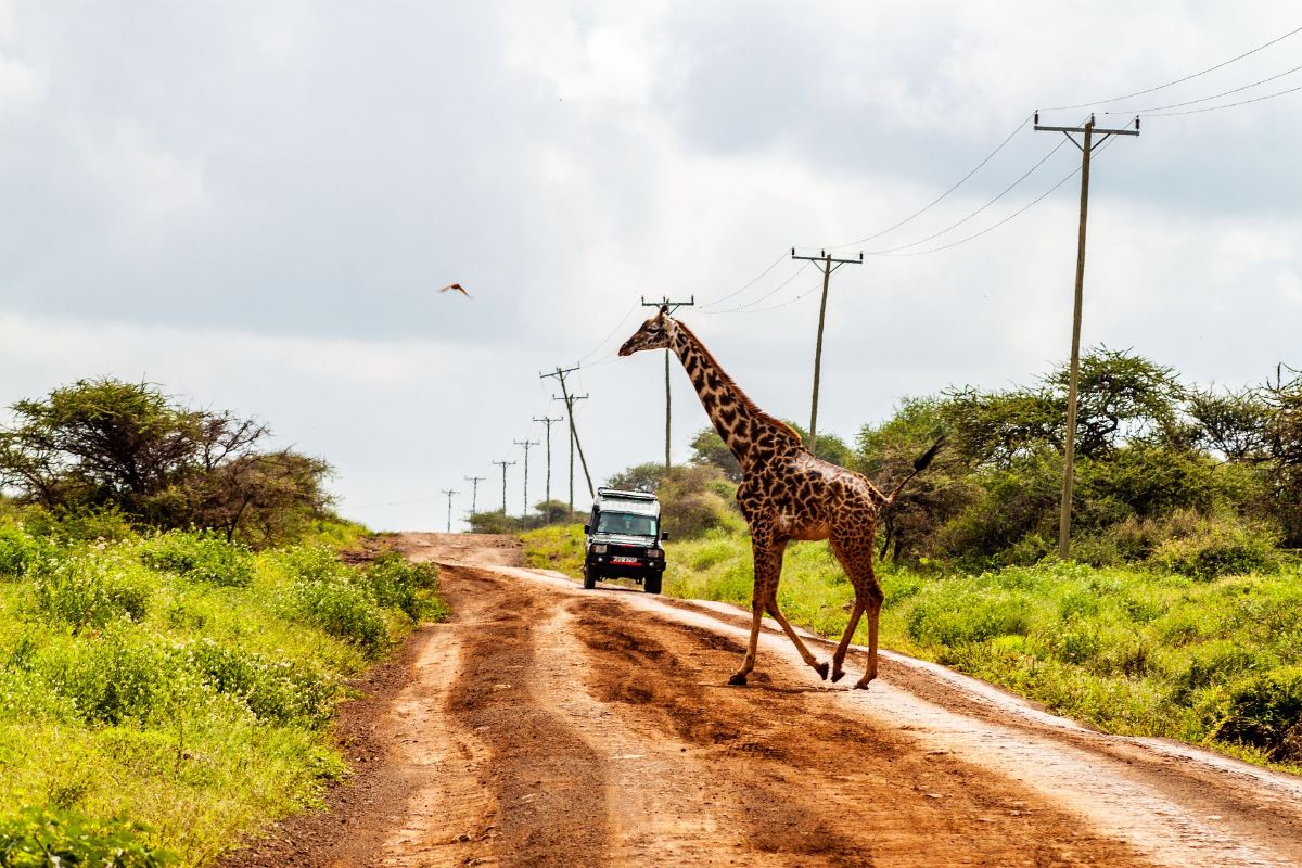 5 Days Tsavo East / Taita / Amboseli / Tsavo West
