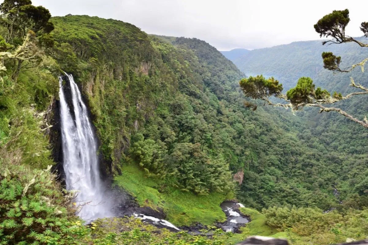 Mount Kenya Sirimon Quest 