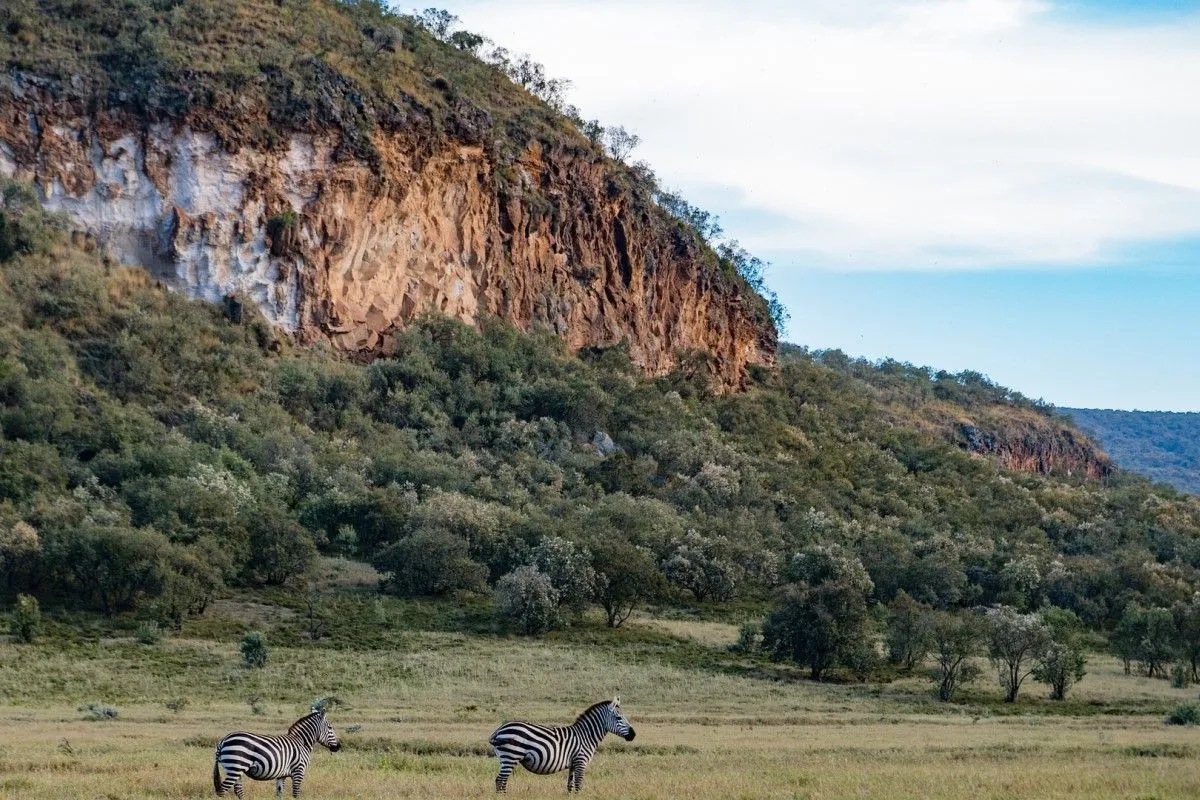 Best of Masai Mara - Naivasha Hell's Gate  Safari