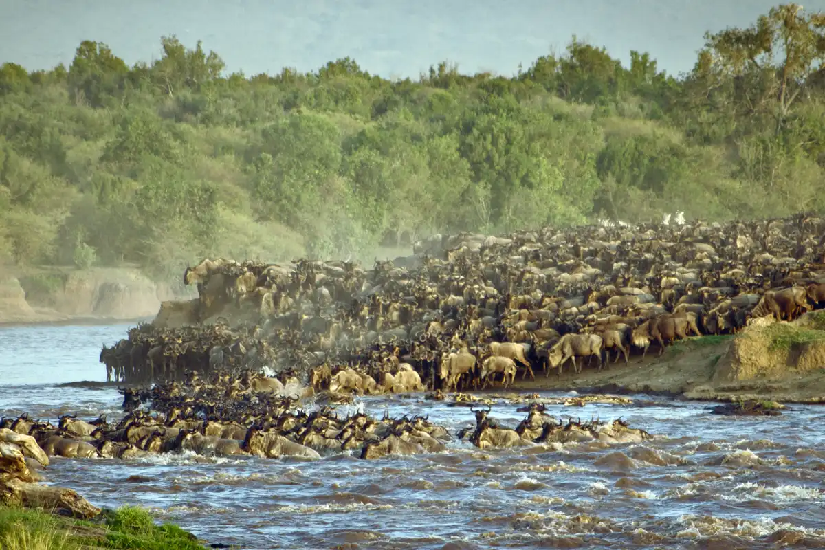 11-Day Kenya Luxury Safari