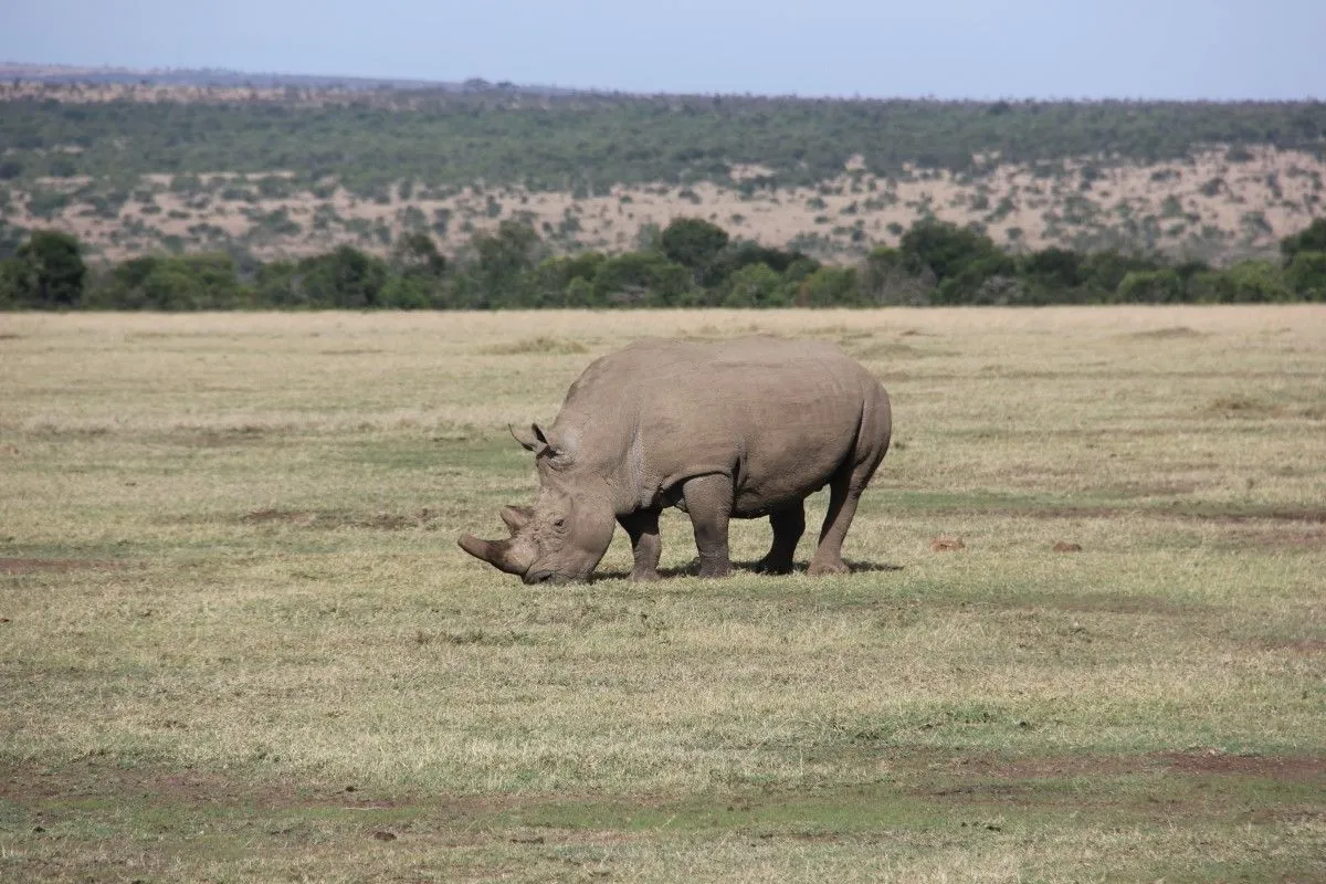 15 Days Kenya Safari Holiday Tour Package