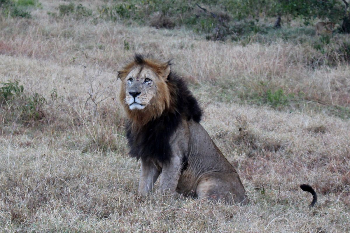 1-Day Lake Nakuru Tour