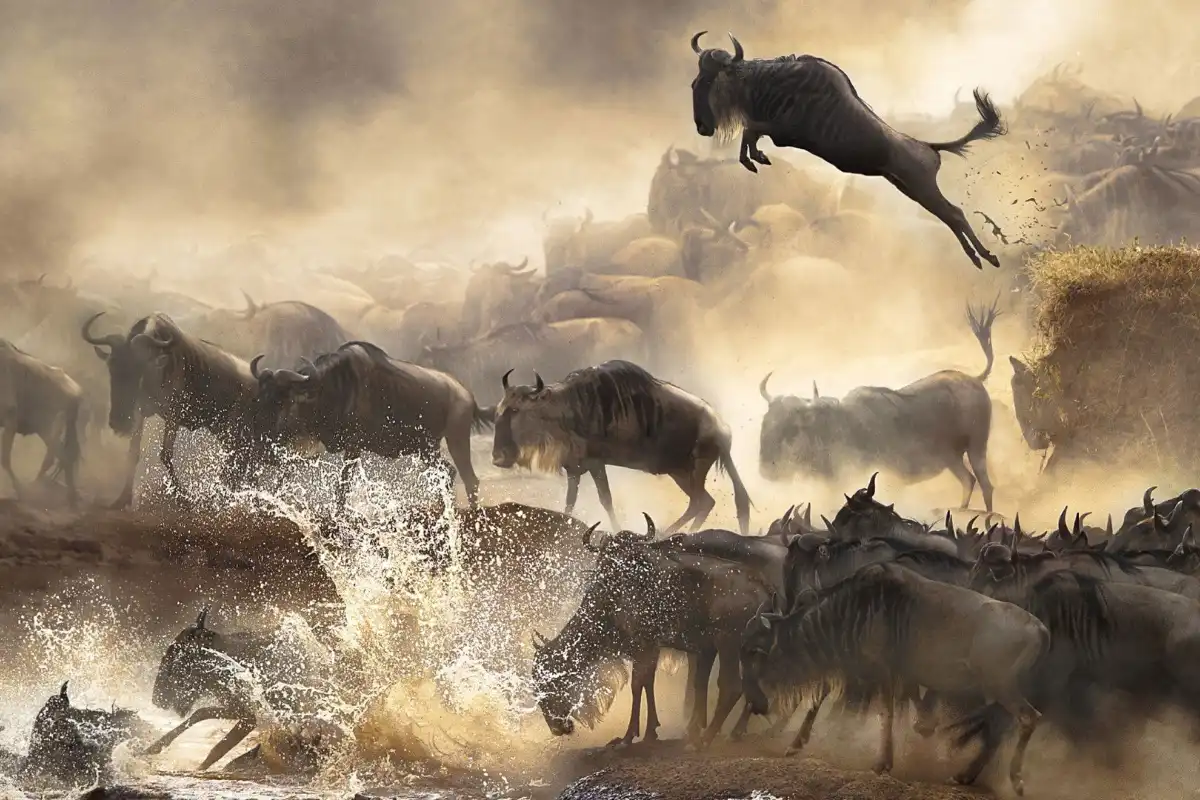 3 Days of Timeless Luxury in the Wild