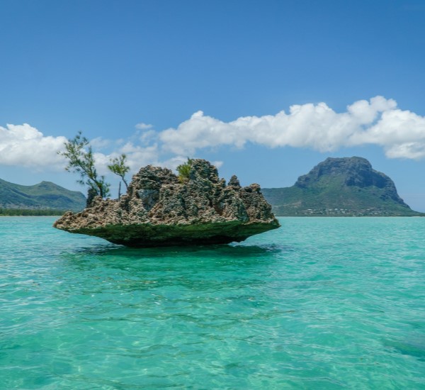 Mauritius safari destination