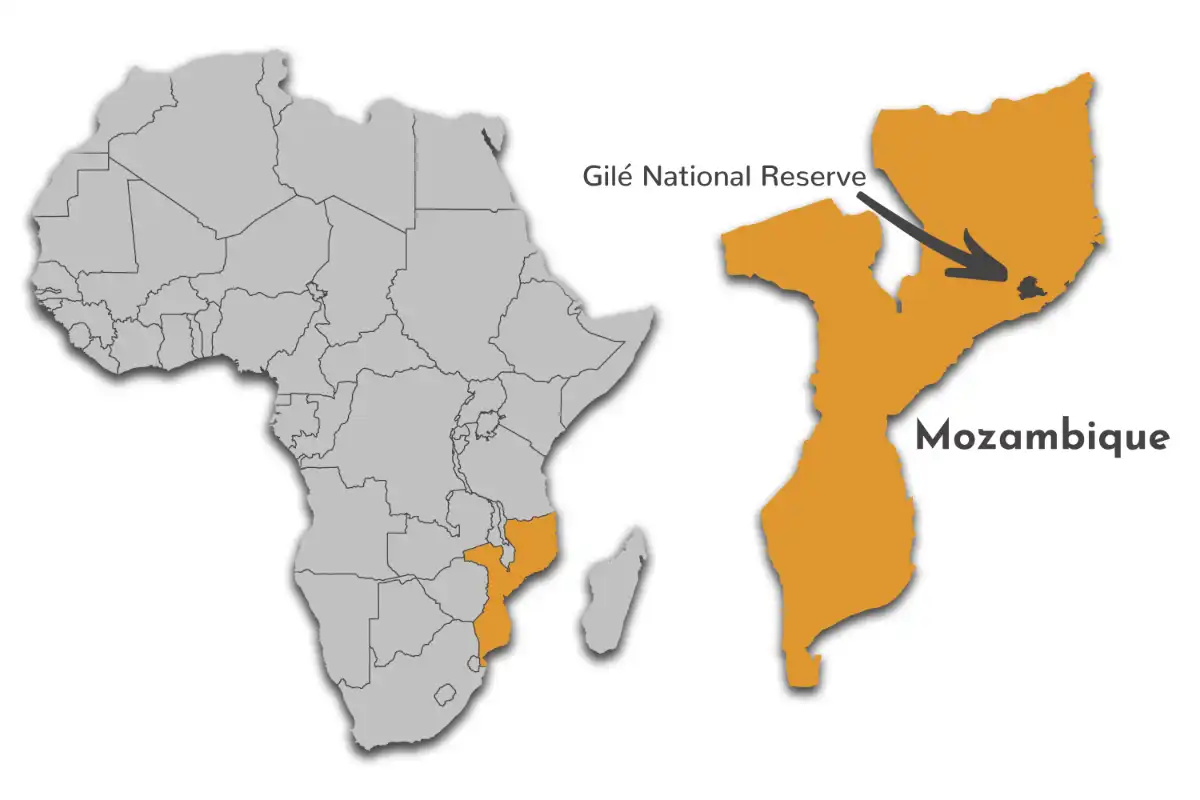 Gilé National Reserve map