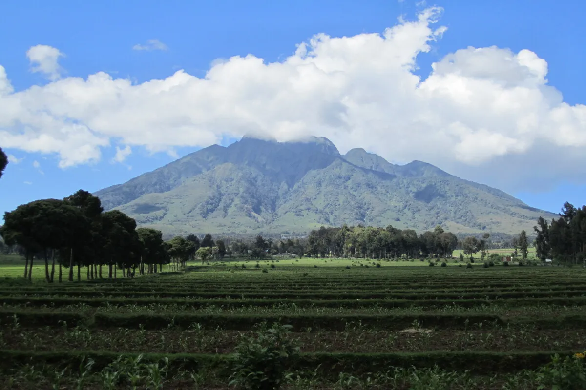 11 Days Journey to the jungles of Rwanda and Uganda