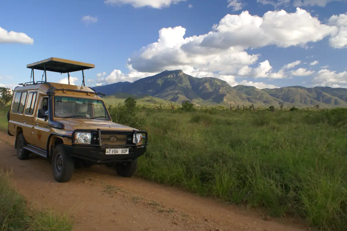 2 Days Tanzania sharing safari tour to Tarangire and Ngorongoro