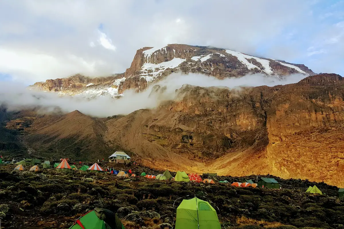 7 days 6 nights Machame Route Climbing