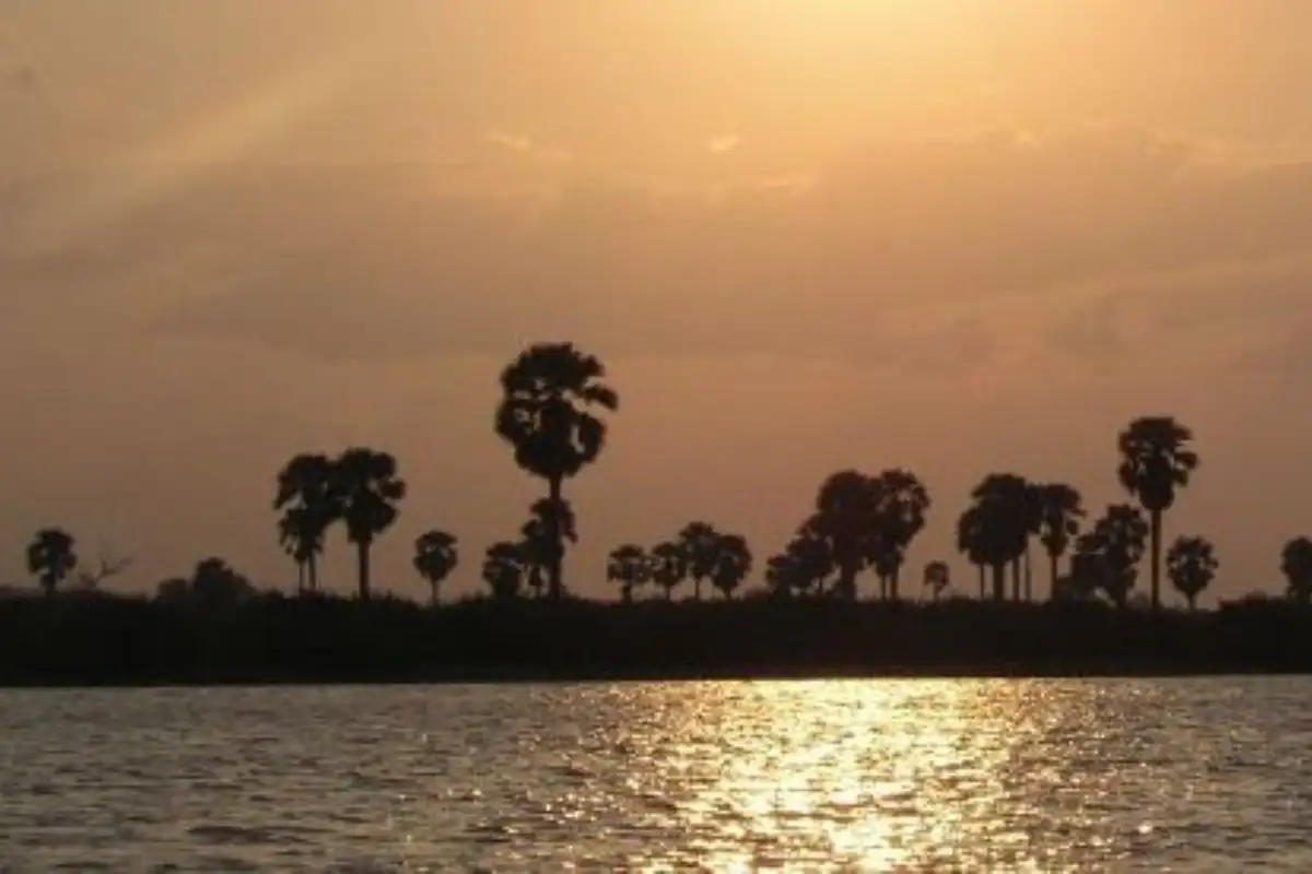 5 Days : Selous Game Reserve and Kilwa Historical Site