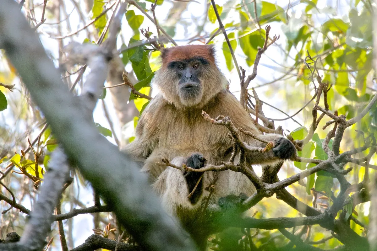 3 Days : Bagamoyo Historical Town  and Saadani National Park