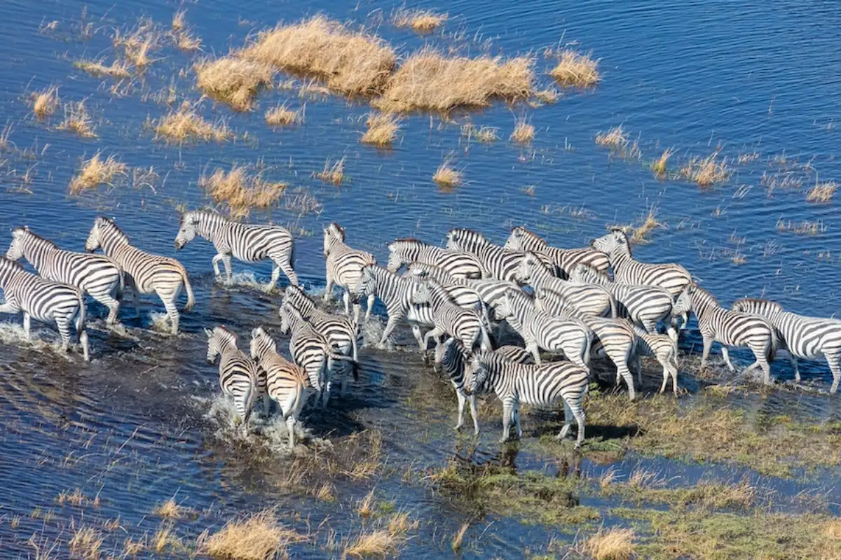 Zambia's Northern "Unexplored" Tourist Circuit Waterfalls Adventure Tour