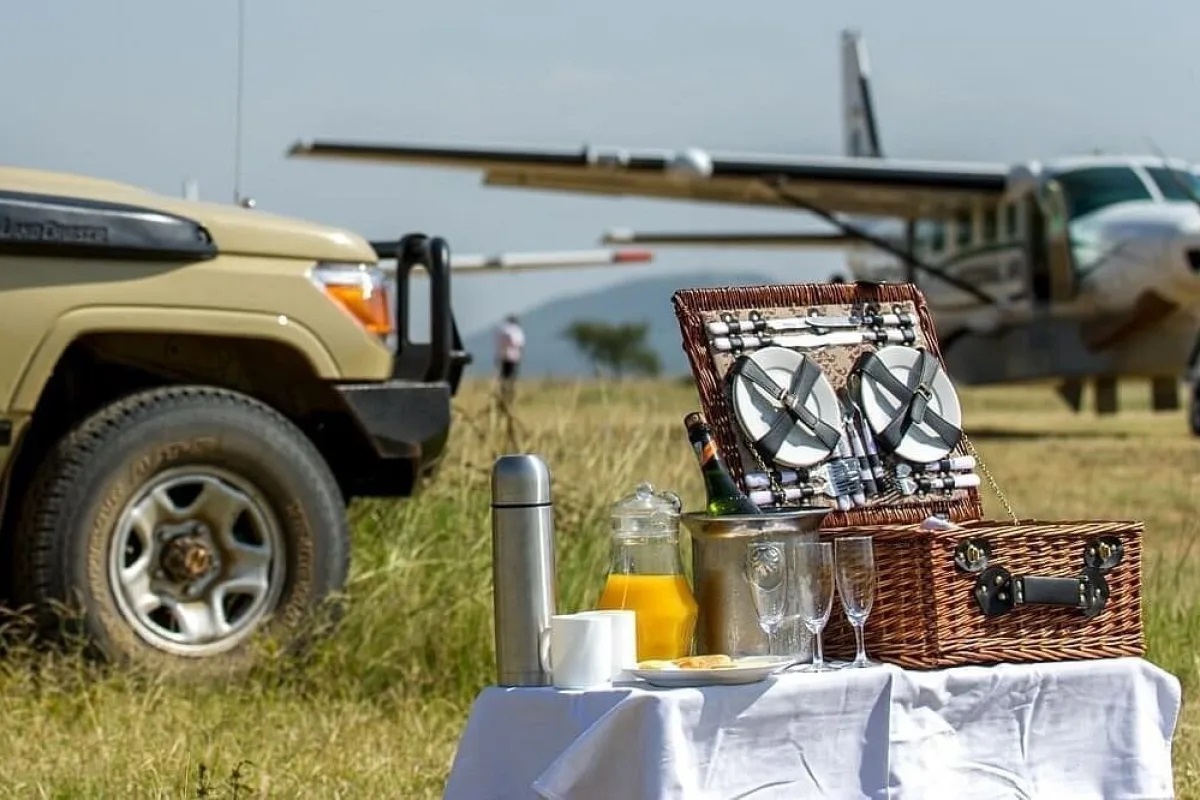 African Vacation Tours