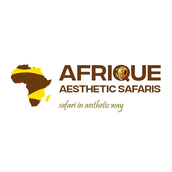 Afrique Aesthetic Safaris