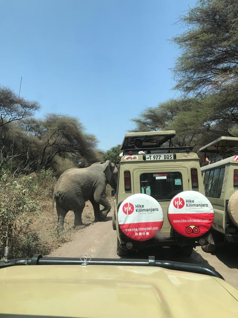 Hike Kilimanjaro Limited
