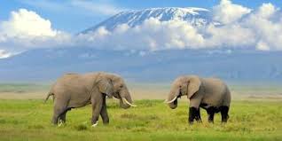 Johnbow Tours and Travel Ltd