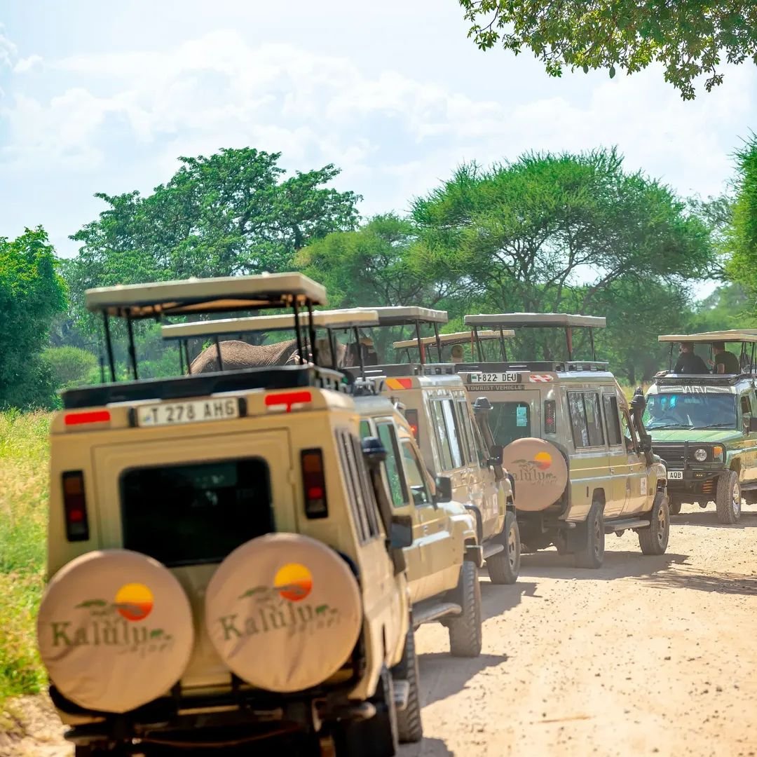 Kalulu Tanzania Safaris