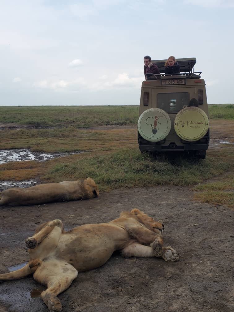 Kiliclimb Africa safaris