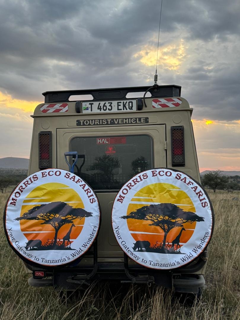 Morris Eco Safaris
