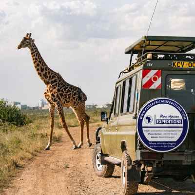 PURE AFRICAN EXPEDITIONS