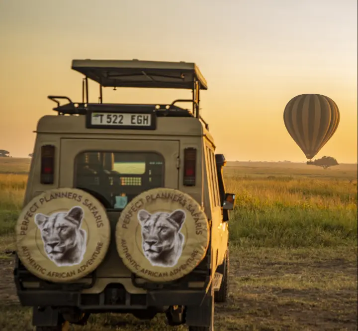 Perfect Planners Safaris