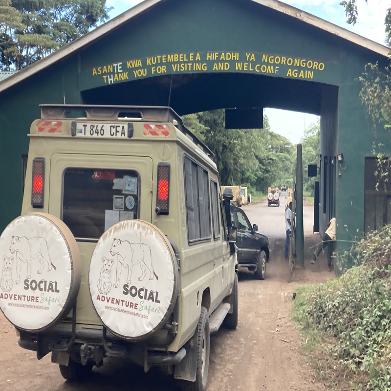 Social Adventure Safari