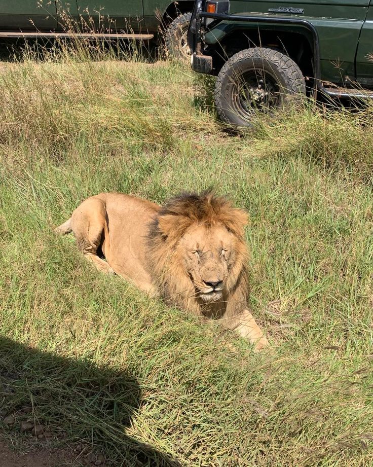 Twilight Tails Tours and Travel Limited