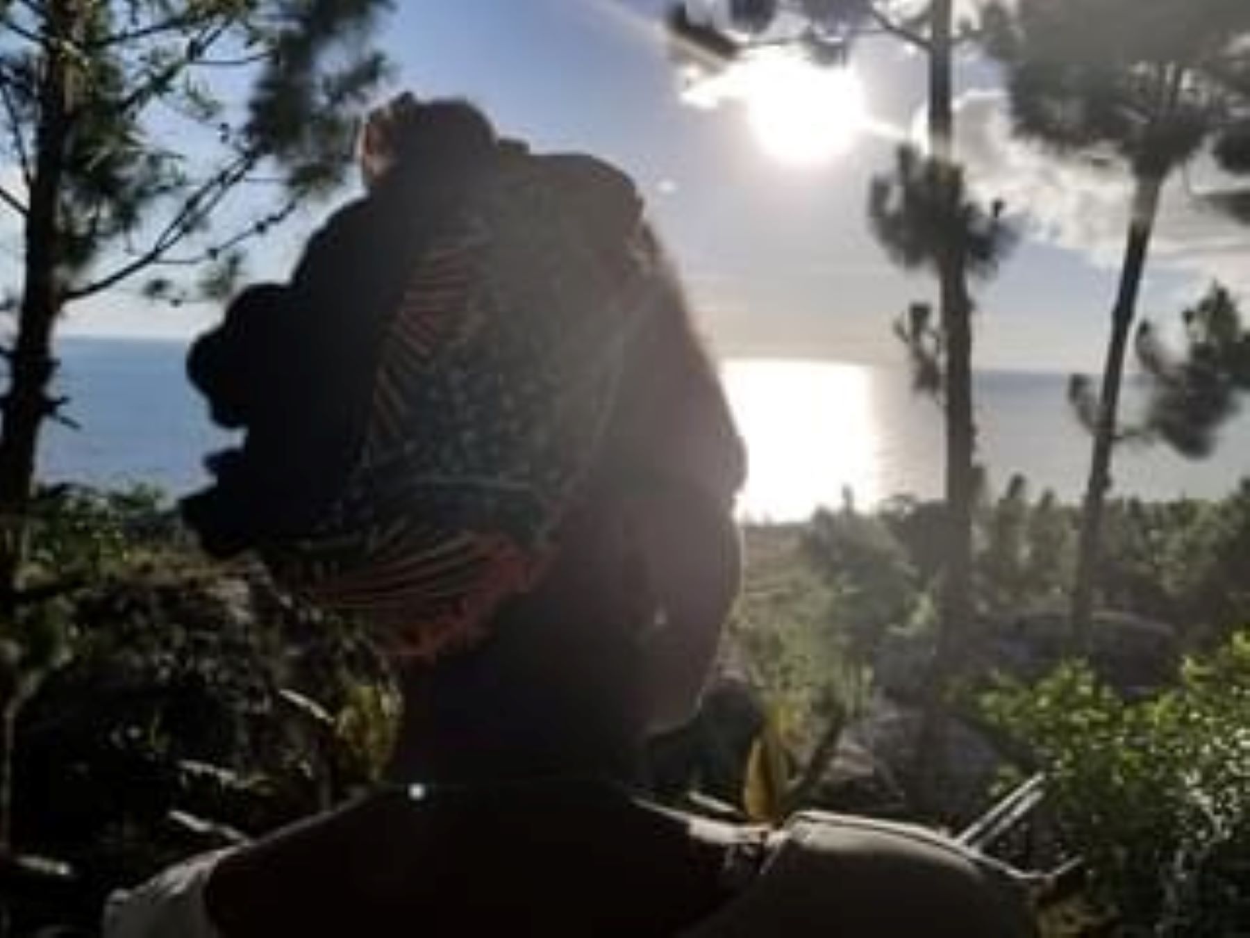 About Africa  gallery