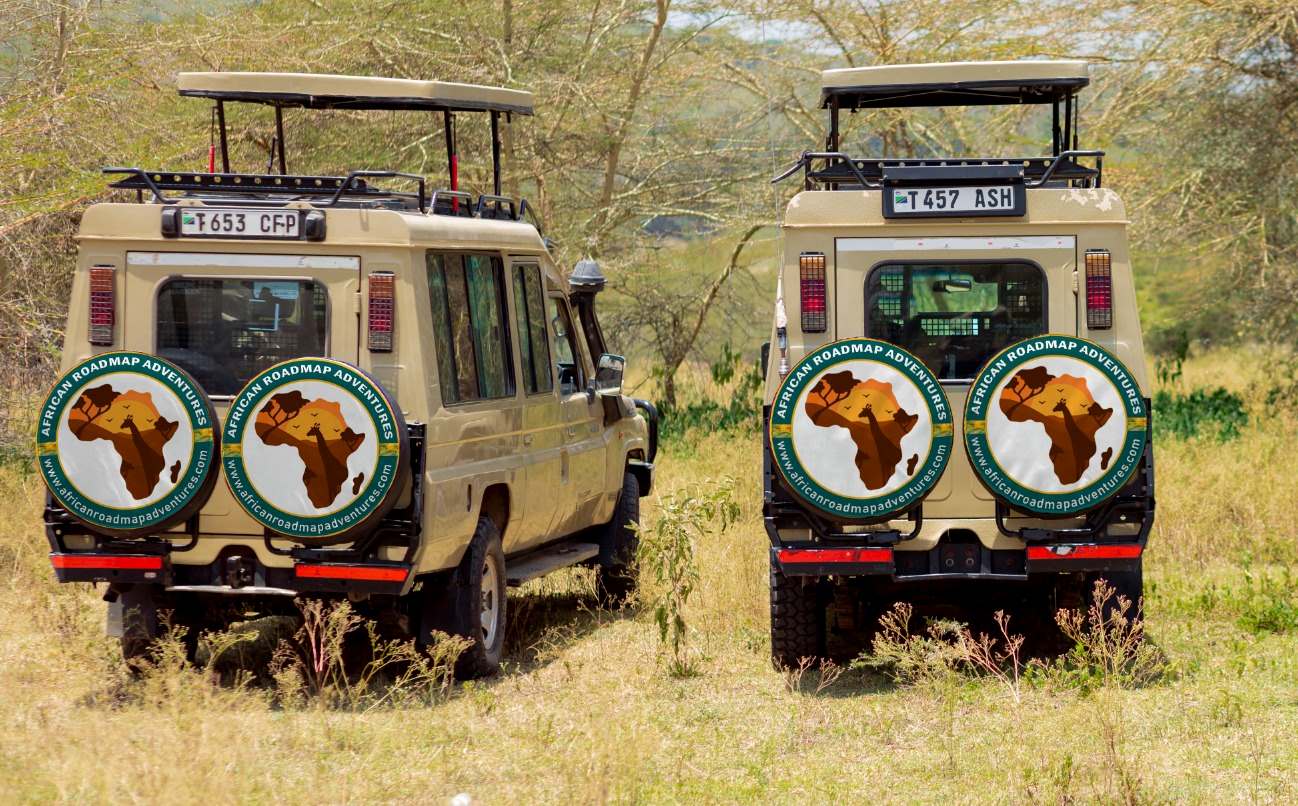 African Roadmap Adventures gallery