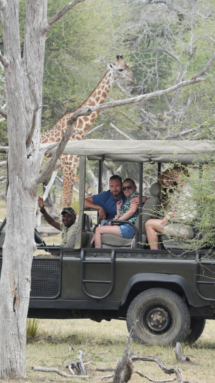Alfamale tours & safaris gallery