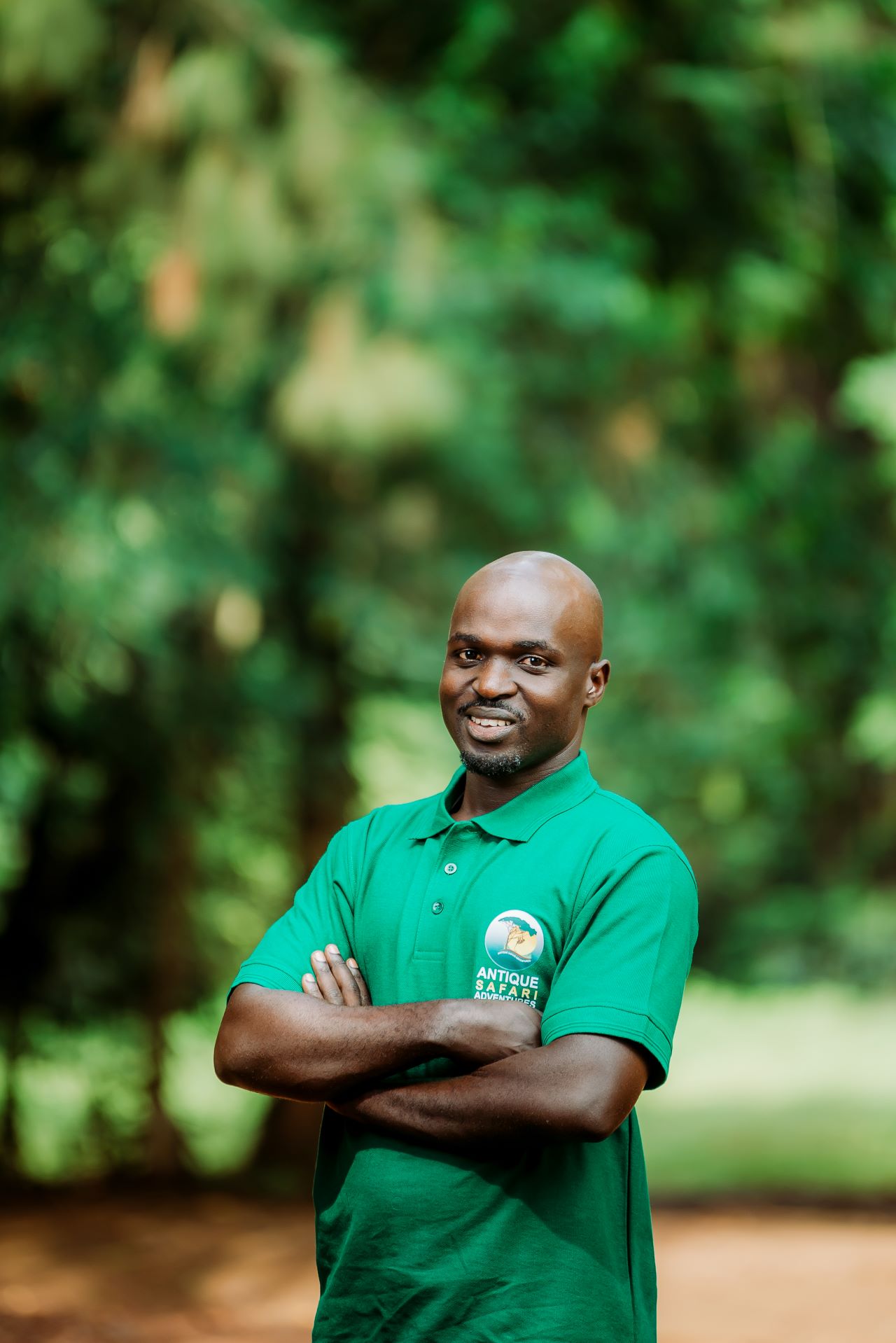 Antique safari Adventures  Limited gallery