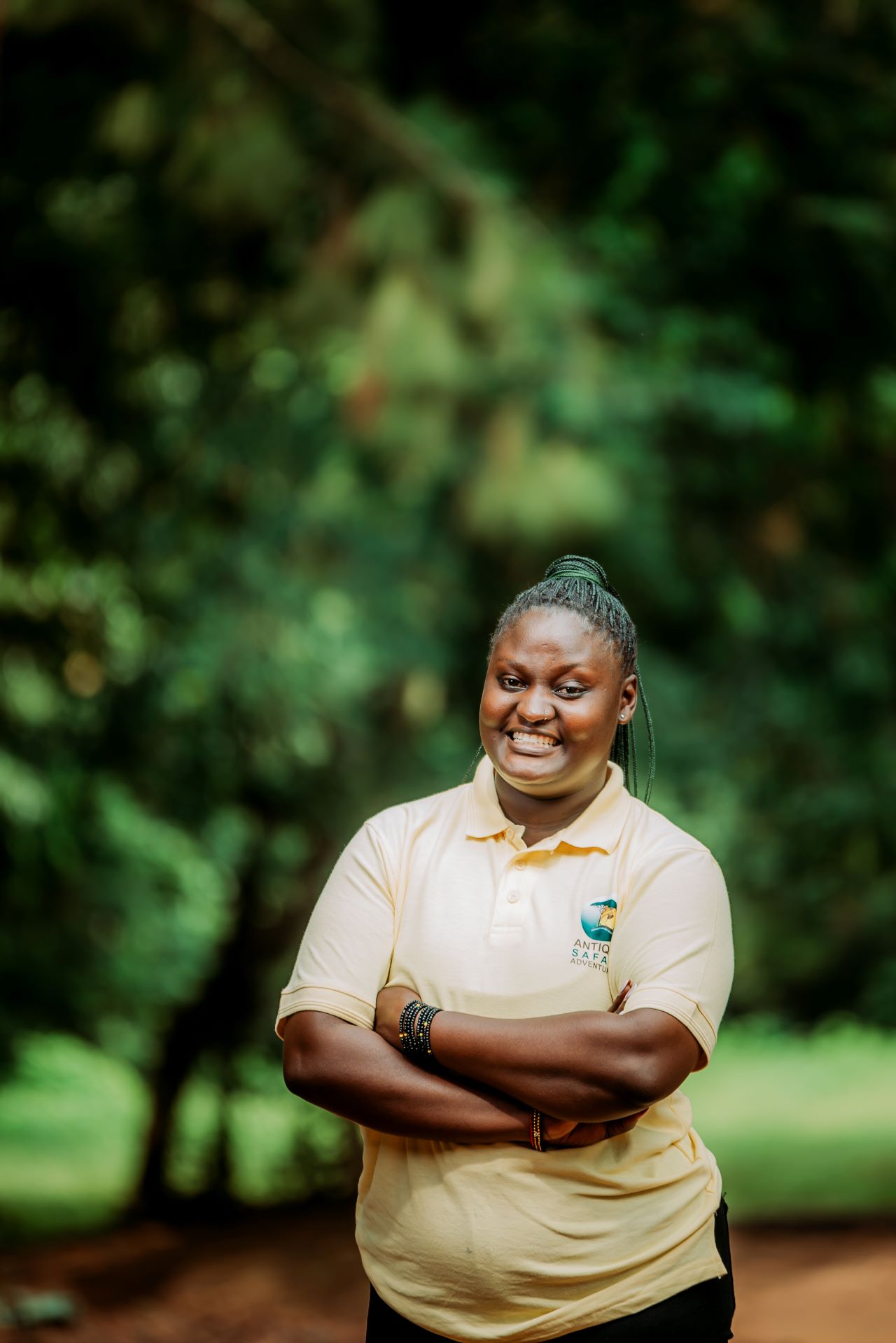 Antique safari Adventures  Limited gallery