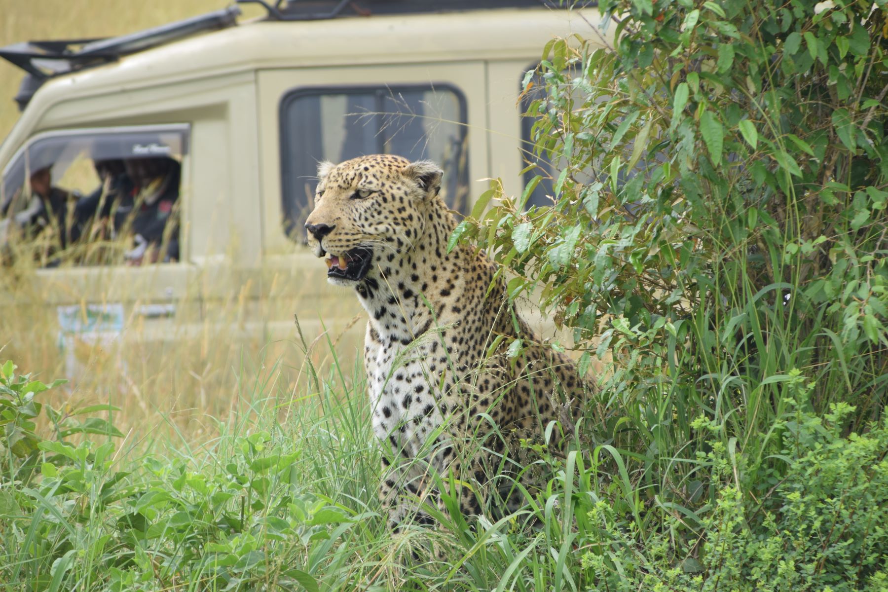 Bintu Africa Adventures gallery