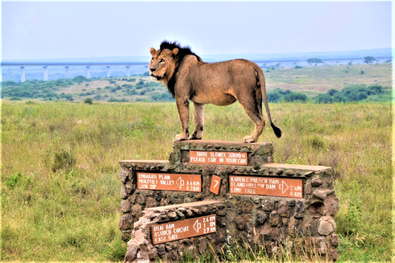 Bintu Africa Adventures gallery