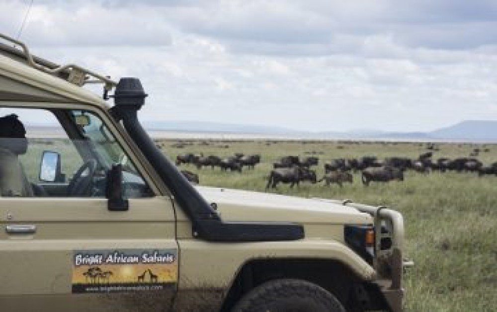 Bright African Safaris gallery