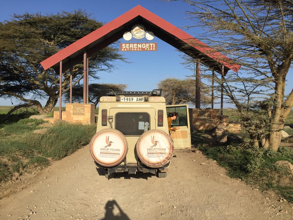 Dikop Tours & Safaris gallery