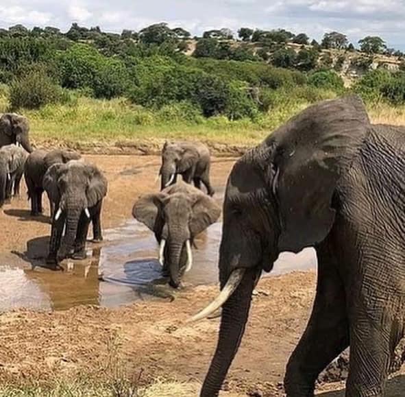 G-family adventures safaris gallery