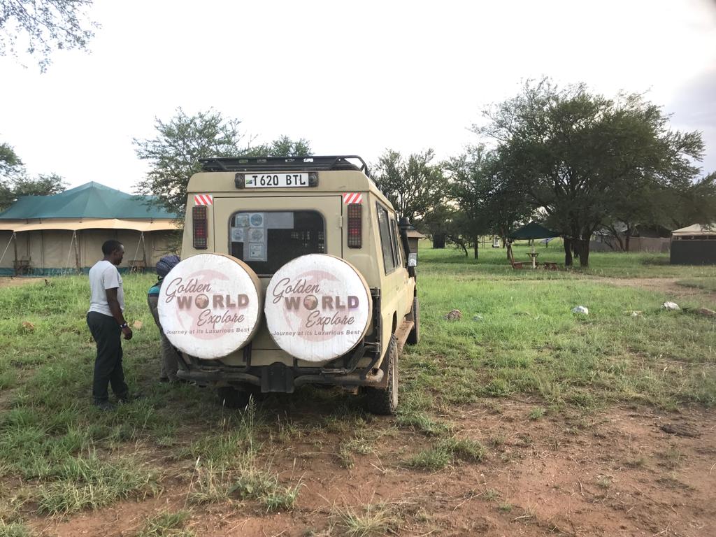 Golden world explore gallery