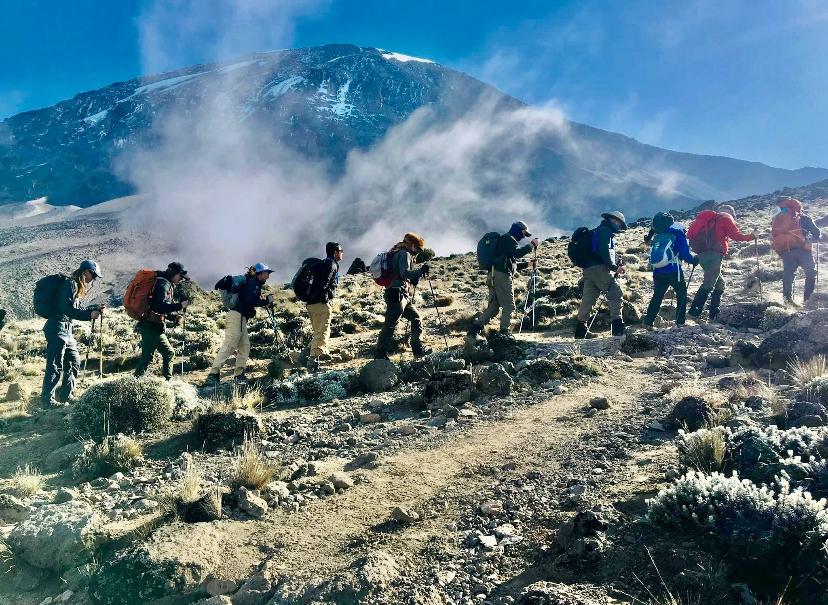 Hilltop Travel Company gallery