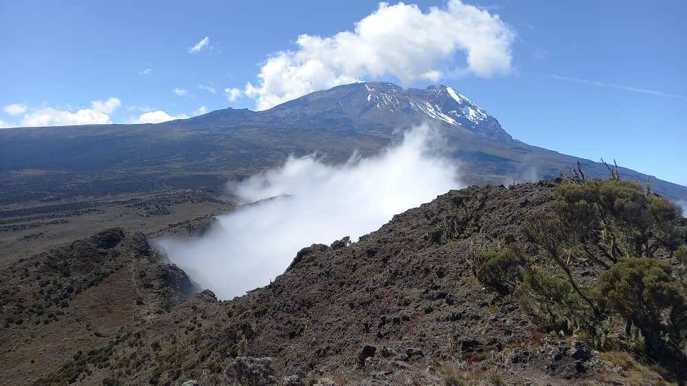 KILIMANJARO AND SAFARIS ADVENTURE gallery