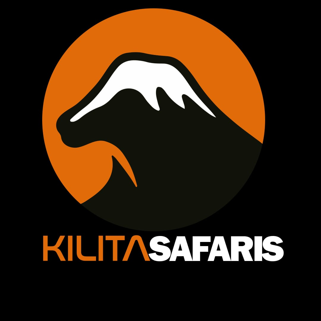 KILITA SAFARIS-Best Kilimanjaro tour company|Kilimanjaro joining group|Kilimanjaro day hike|Serengeti & ngorongoro safaris gallery